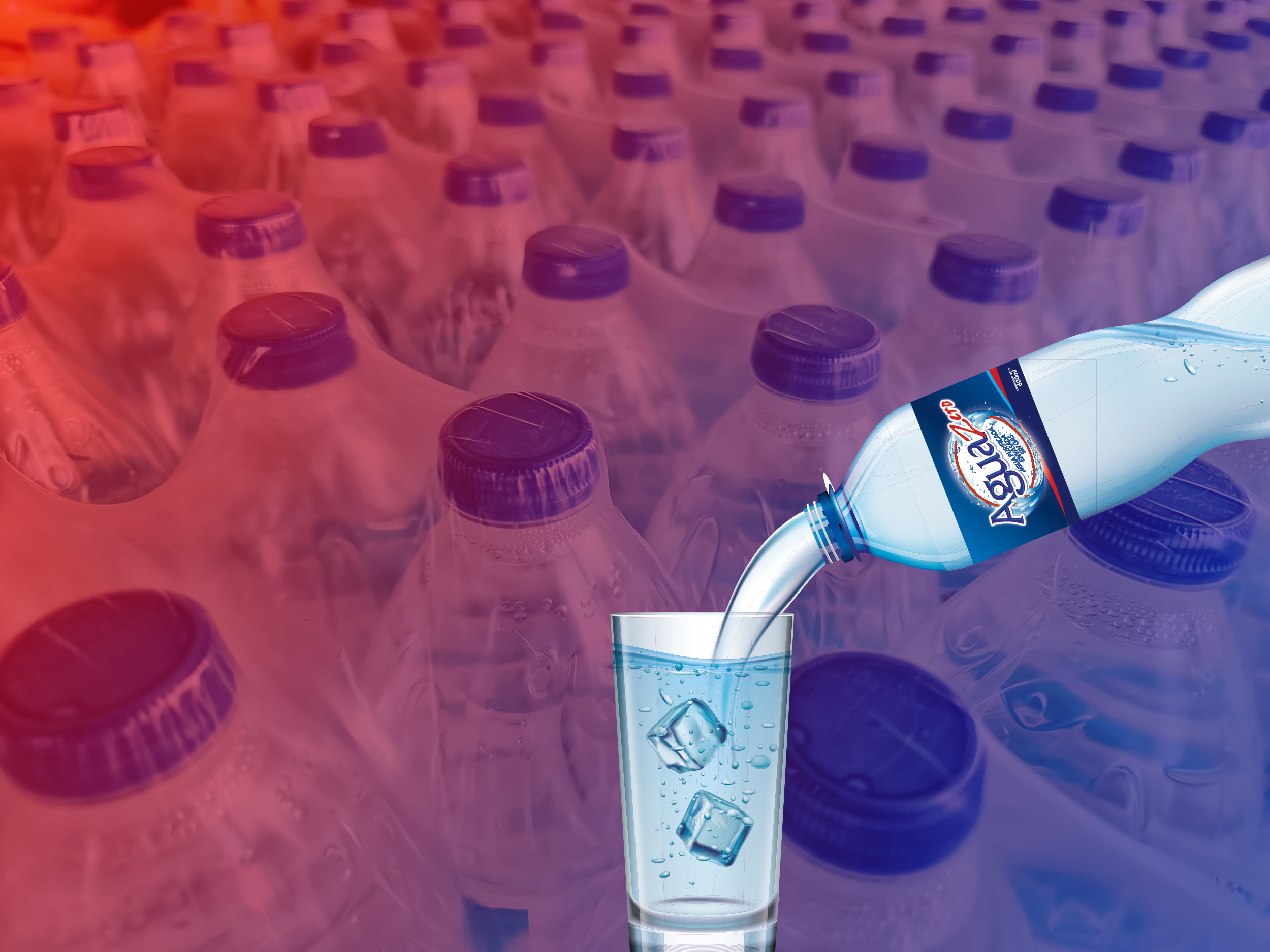 Large Number of Packed Bottled Drinking Water with Blue Caps